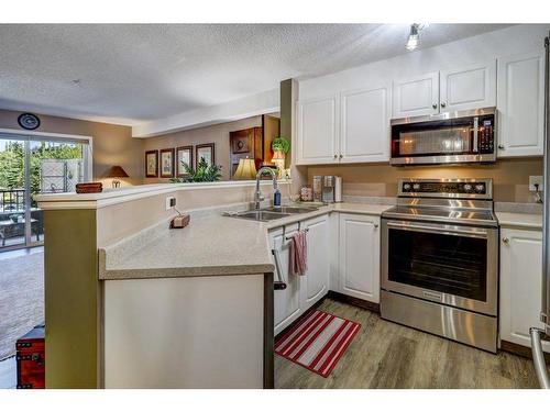 204-4000 Citadel Meadow Point Nw, Calgary, AB - Indoor Photo Showing Kitchen With Double Sink