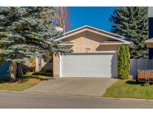 109 Sundown Close Se, Calgary, AB 