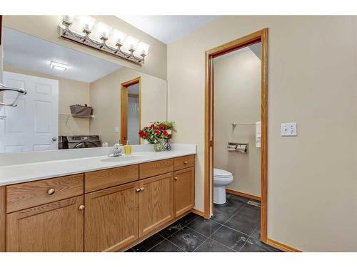 254 Coventry Court Ne, Calgary, AB - Indoor Photo Showing Bathroom