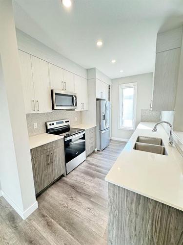 132 Skyview Ranch Circle Ne, Calgary, AB - Indoor Photo Showing Kitchen With Double Sink