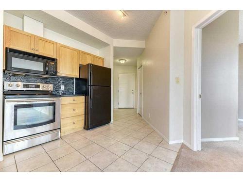 502-1053 10 Street Sw, Calgary, AB - Indoor Photo Showing Kitchen