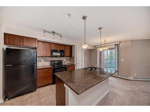 207-156 Country Village Circle Ne, Calgary, AB - Indoor Photo Showing Kitchen With Double Sink