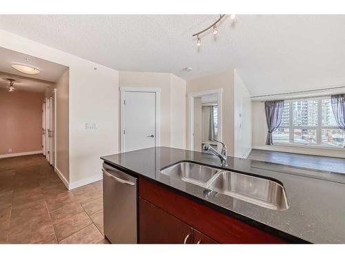 1009-8880 Horton Road Sw, Calgary, AB - Indoor Photo Showing Kitchen With Double Sink