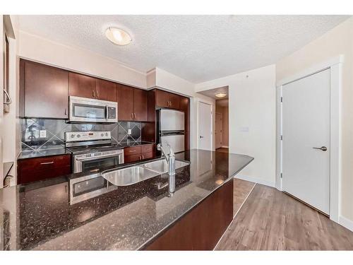 1009-8880 Horton Road Sw, Calgary, AB - Indoor Photo Showing Kitchen With Double Sink