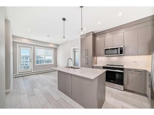 2518-395 Skyview Parkway, Calgary, AB - Indoor Photo Showing Kitchen With Double Sink With Upgraded Kitchen