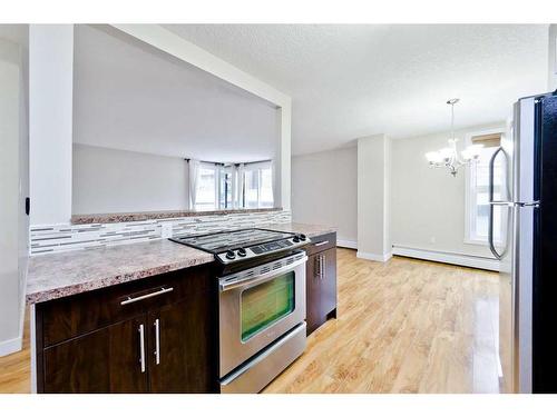 203-616 15 Avenue Sw, Calgary, AB - Indoor Photo Showing Kitchen