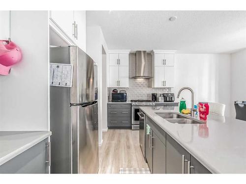 37 Cityspring Common Ne, Calgary, AB - Indoor Photo Showing Kitchen With Stainless Steel Kitchen With Double Sink With Upgraded Kitchen