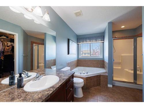 2033 Luxstone Link Sw, Airdrie, AB - Indoor Photo Showing Bathroom