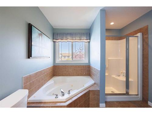 2033 Luxstone Link Sw, Airdrie, AB - Indoor Photo Showing Bathroom