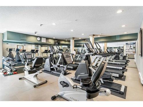 118-30 Discovery Ridge Close Sw, Calgary, AB - Indoor Photo Showing Gym Room