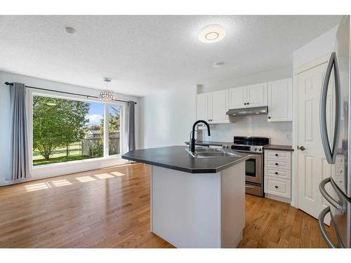 23 River Rock Place Se, Calgary, AB - Indoor Photo Showing Kitchen With Double Sink