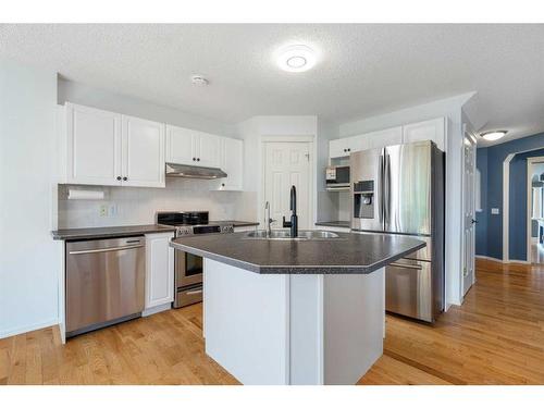 23 River Rock Place Se, Calgary, AB - Indoor Photo Showing Kitchen With Upgraded Kitchen