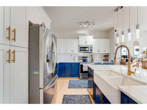 71 Copperfield Point Se, Calgary, AB - Indoor Photo Showing Kitchen With Double Sink With Upgraded Kitchen