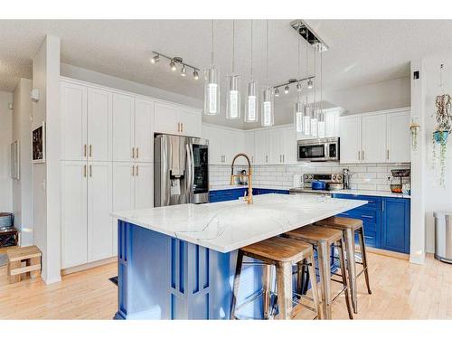 71 Copperfield Point Se, Calgary, AB - Indoor Photo Showing Kitchen With Upgraded Kitchen