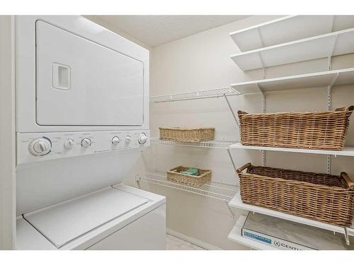 3141-1818 Simcoe Boulevard Sw, Calgary, AB - Indoor Photo Showing Laundry Room