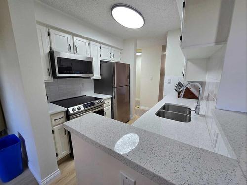 518-8604 48 Avenue Nw, Calgary, AB - Indoor Photo Showing Kitchen With Double Sink