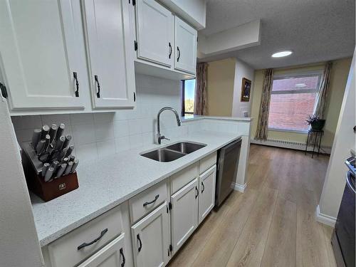 518-8604 48 Avenue Nw, Calgary, AB - Indoor Photo Showing Kitchen With Double Sink