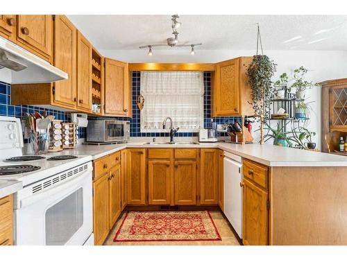 120 Tucker Road Se, Airdrie, AB - Indoor Photo Showing Kitchen With Double Sink