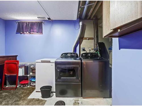 96 Beddington Circle Ne, Calgary, AB - Indoor Photo Showing Laundry Room