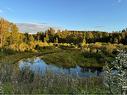 Hwy 22, Rural Foothills County, AB 