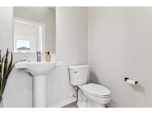 250 Chelsea Place, Chestermere, AB - Indoor Photo Showing Bathroom