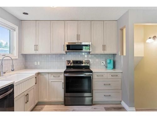 876 Mckenzie Drive Se, Calgary, AB - Indoor Photo Showing Kitchen With Upgraded Kitchen