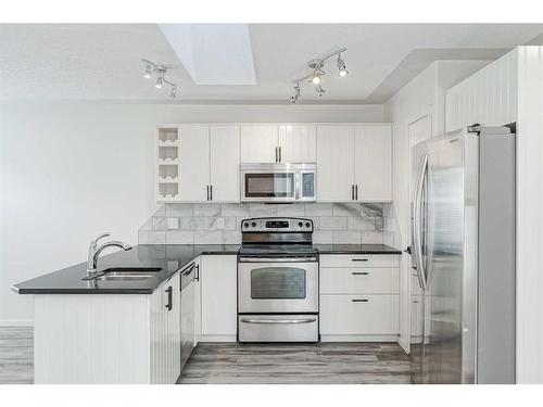 80 Douglas Ridge Circle Se, Calgary, AB - Indoor Photo Showing Kitchen With Stainless Steel Kitchen With Double Sink With Upgraded Kitchen