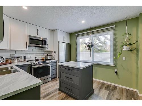 535 Queenston Gardens Se, Calgary, AB - Indoor Photo Showing Kitchen With Double Sink With Upgraded Kitchen