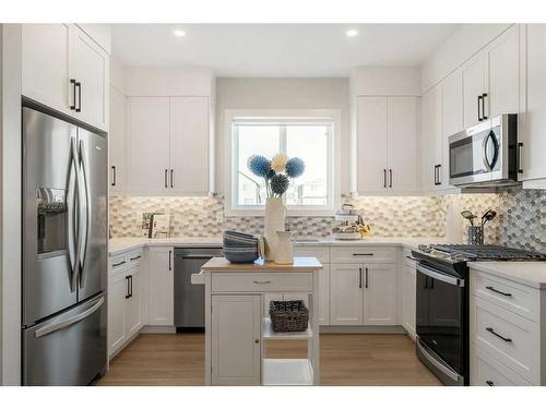 263 Homestead Drive Ne, Calgary, AB - Indoor Photo Showing Kitchen With Stainless Steel Kitchen With Upgraded Kitchen