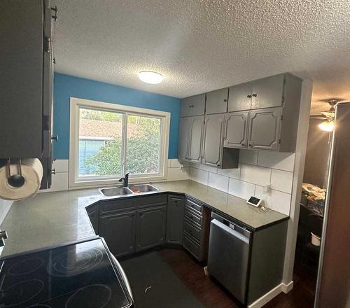 702 Royal Drive, Trochu, AB - Indoor Photo Showing Kitchen With Double Sink