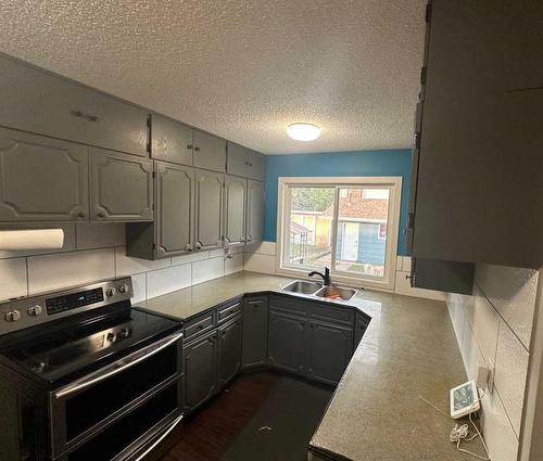 702 Royal Drive, Trochu, AB - Indoor Photo Showing Kitchen With Double Sink