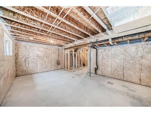 27 Cityline Heath Ne, Calgary, AB - Indoor Photo Showing Basement