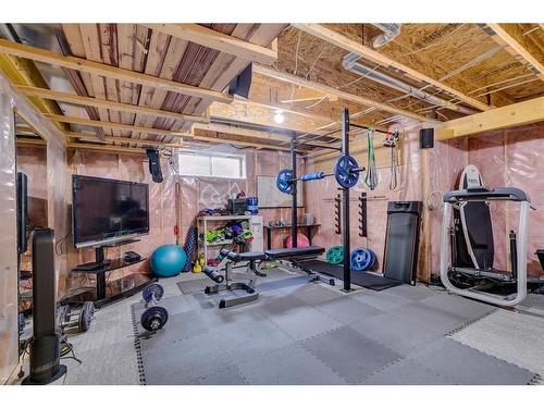 144 Springmere Road, Chestermere, AB - Indoor Photo Showing Basement