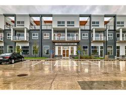 2211-151 Skyview Bay NE Calgary, AB T3N 2K3