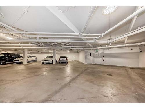 1408-681 Savanna Boulevard Ne, Calgary, AB - Indoor Photo Showing Garage