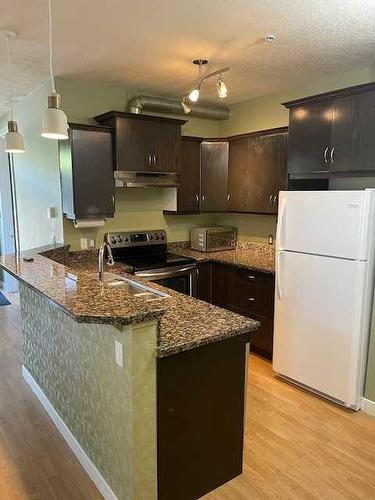 102-303 19 Avenue Sw, Calgary, AB - Indoor Photo Showing Kitchen