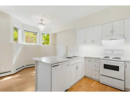 101-2105 2 Street Sw, Calgary, AB - Indoor Photo Showing Kitchen