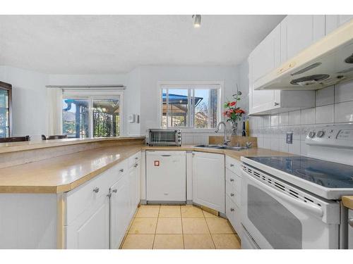 28 Taralea Gardens Ne, Calgary, AB - Indoor Photo Showing Kitchen With Double Sink