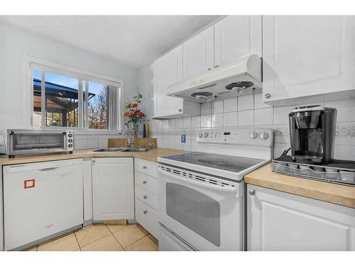 28 Taralea Gardens Ne, Calgary, AB - Indoor Photo Showing Kitchen With Double Sink