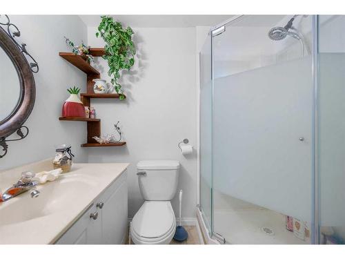 28 Taralea Gardens Ne, Calgary, AB - Indoor Photo Showing Bathroom