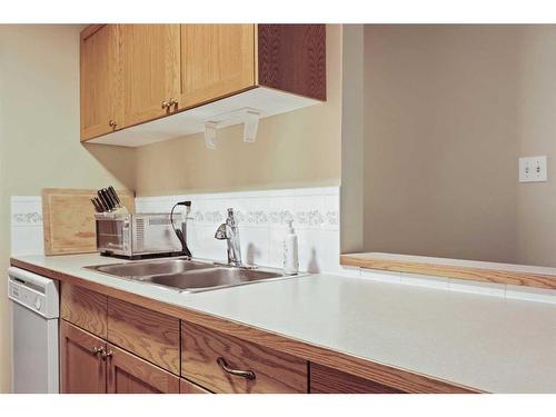 212-550 Westwood Drive Sw, Calgary, AB - Indoor Photo Showing Kitchen With Double Sink