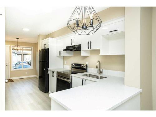 260 Saddlebrook Point Ne, Calgary, AB - Indoor Photo Showing Kitchen With Double Sink