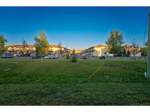 260 Saddlebrook Point Ne, Calgary, AB - Outdoor