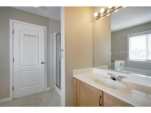 1047 Copperfield Boulevard Se, Calgary, AB - Indoor Photo Showing Bathroom