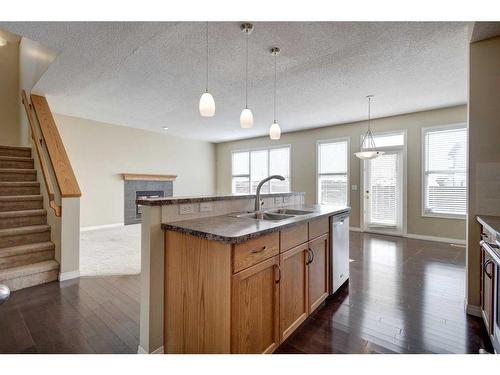 1047 Copperfield Boulevard Se, Calgary, AB - Indoor Photo Showing Kitchen With Double Sink