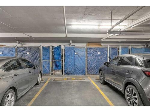 5202-155 Skyview Ranch Way Ne, Calgary, AB - Indoor Photo Showing Garage