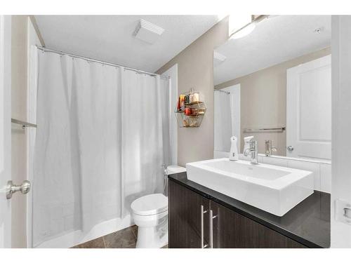 5202-155 Skyview Ranch Way Ne, Calgary, AB - Indoor Photo Showing Bathroom