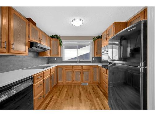 71 Martindale Close Ne, Calgary, AB - Indoor Photo Showing Kitchen With Double Sink