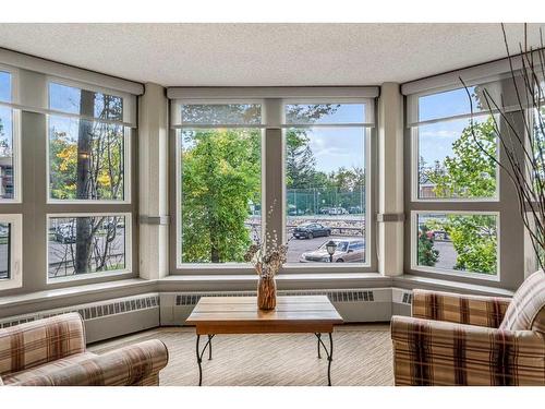 236-820 89 Avenue Sw, Calgary, AB - Indoor Photo Showing Living Room