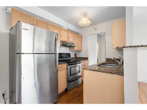 406-315 9A Street Nw, Calgary, AB - Indoor Photo Showing Kitchen With Stainless Steel Kitchen With Double Sink